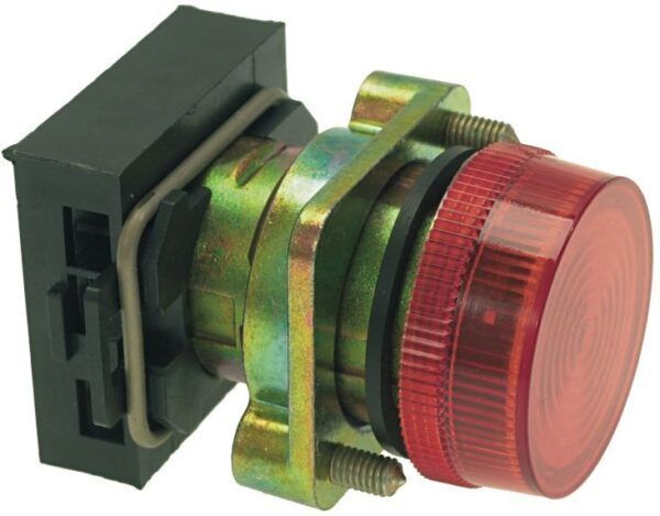 ΕΝΔΕΙΚΤΙΚΗ ΛΥΧΝΙΑ KOKKINH Φ22MM