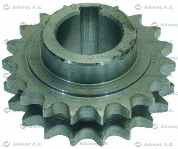 PIGNONE Z19 1/2"