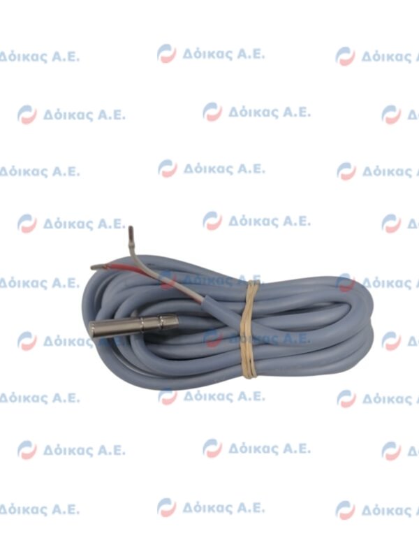 ΑΙΣΘΗΤΗΡΑΣ ΘΕΡΜΟΚΡΑΣΙΑΣ NTC NS6S ΣΙΛΙΚΟΝΗΣ 2m